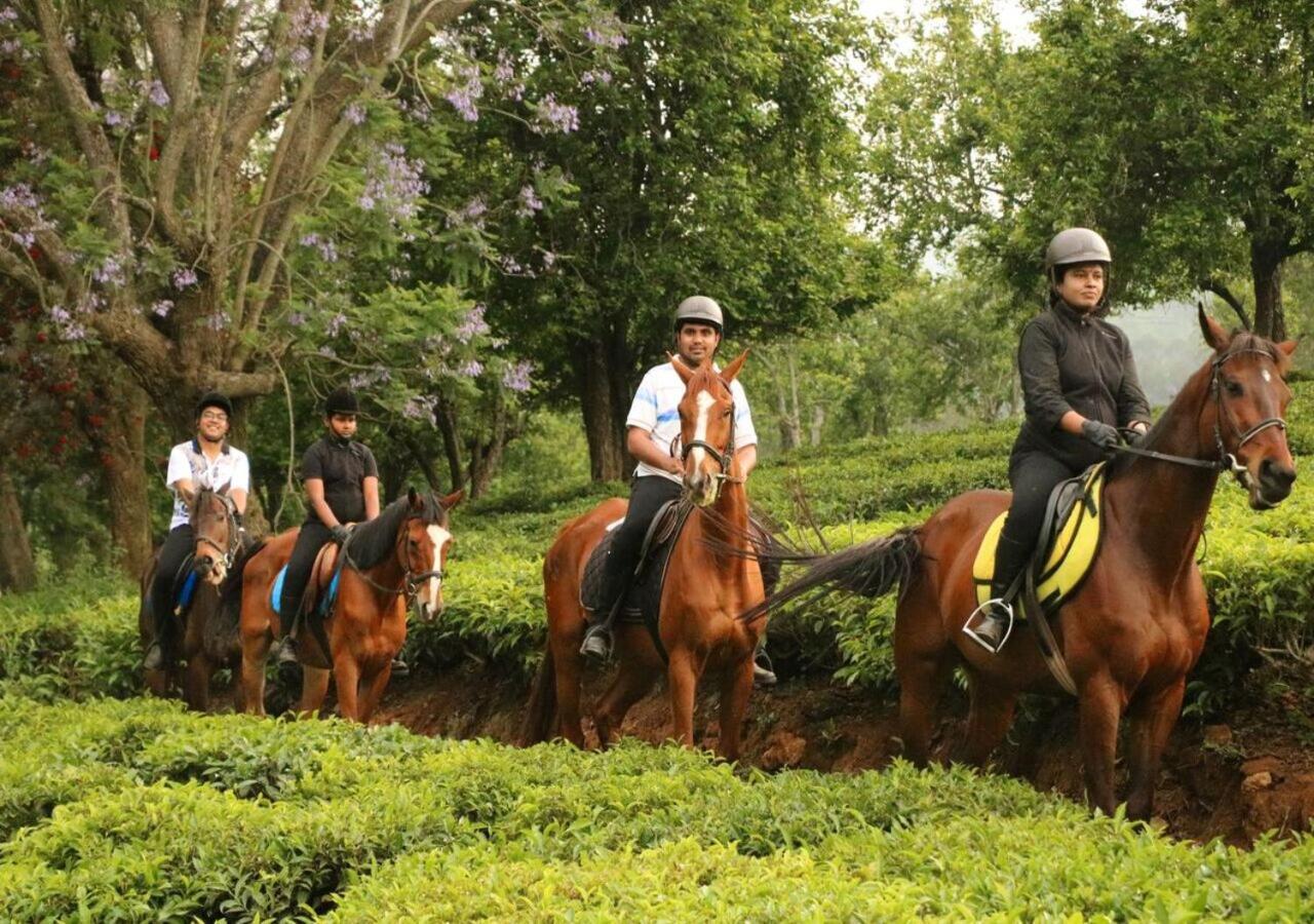 Sleeping Beauty By Nature Resorts And Stays Coonoor Ngoại thất bức ảnh